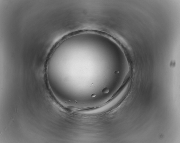 X0000091971264200709061324