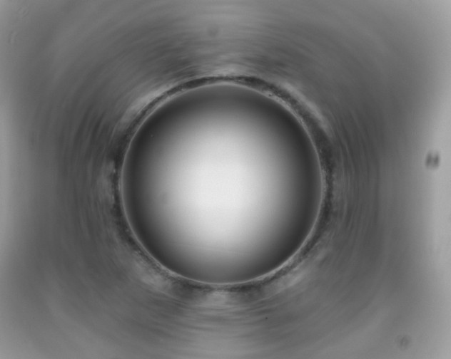 X0000091971265200709061324