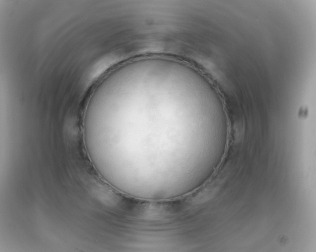 X0000091971266200709061324