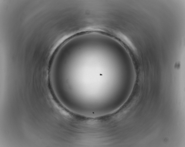 X0000091971268200709061324