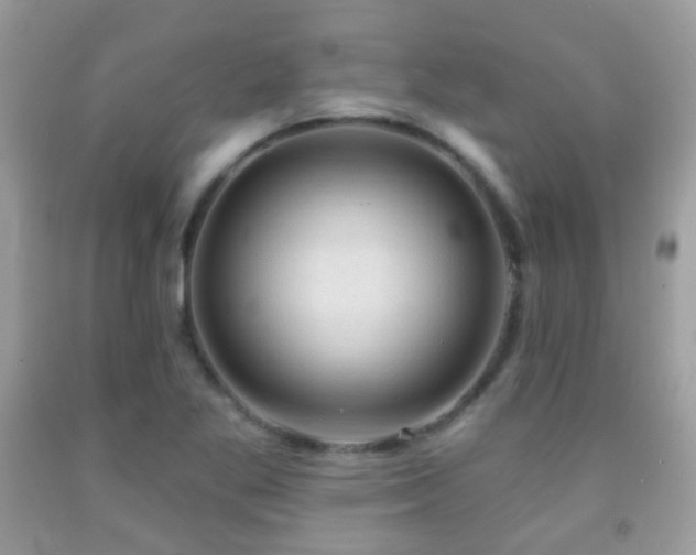 X0000091971269200709061324