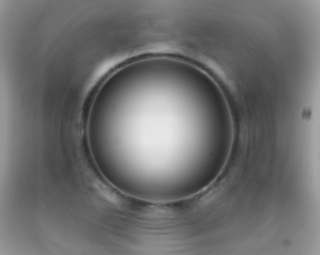 X0000091971270200709061324