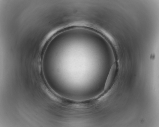 X0000091971272200709061324