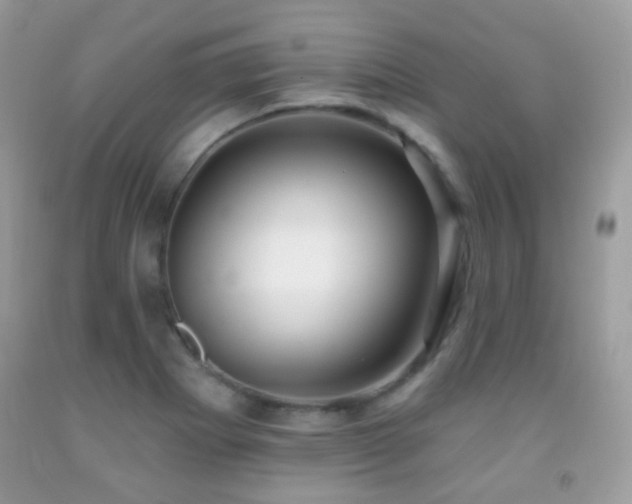 X0000091971273200709061324