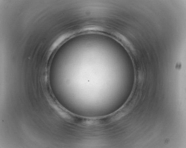 X0000091971274200709061324