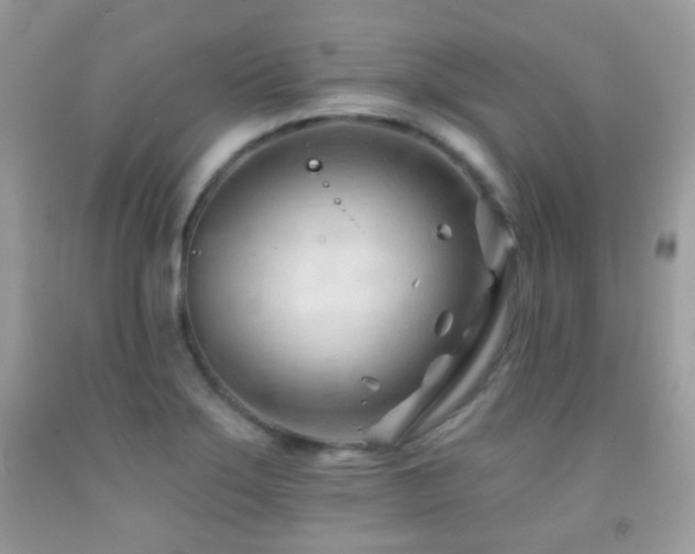 X0000091971275200709061324