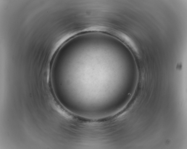 X0000091971276200709061324