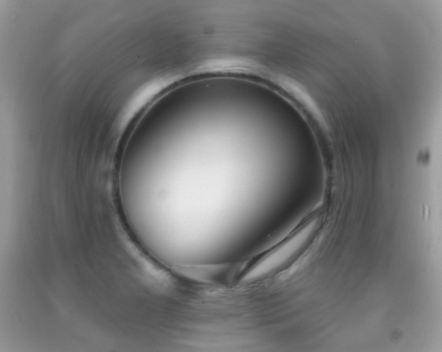 X0000091971277200709061324