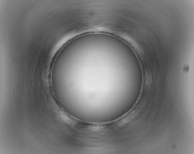 X0000091971278200709061324
