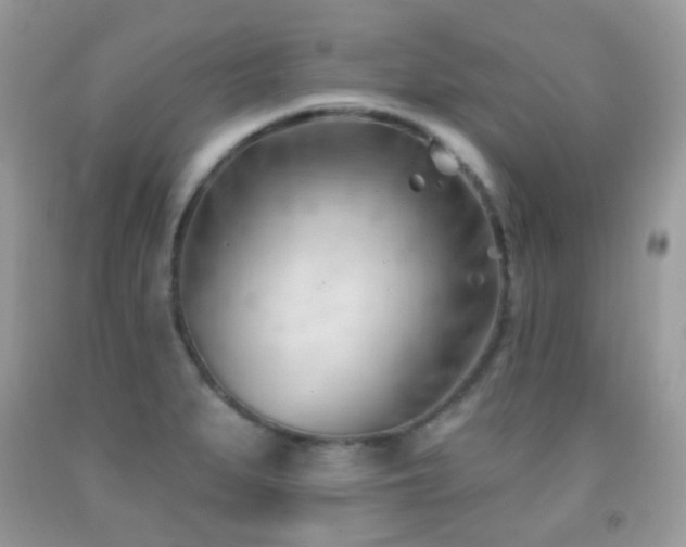 X0000091971279200709061324
