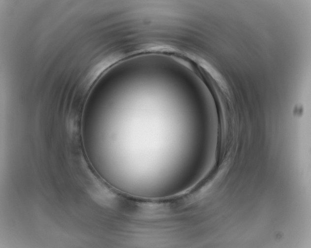 X0000091971281200709061323