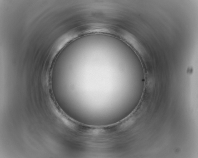 X0000091971282200709061323