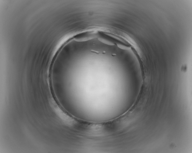 X0000091971283200709061323
