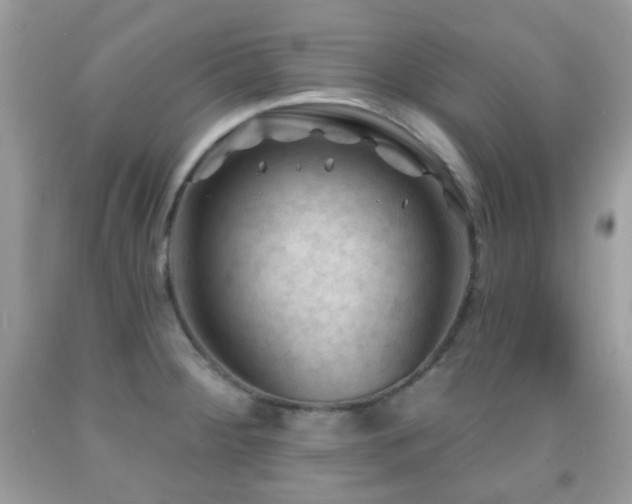 X0000091971284200709061323