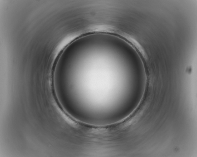 X0000091971285200709061323