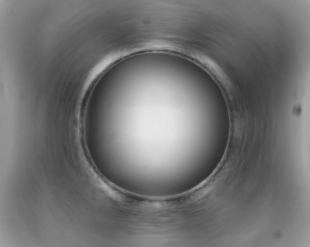 X0000091971286200709061323