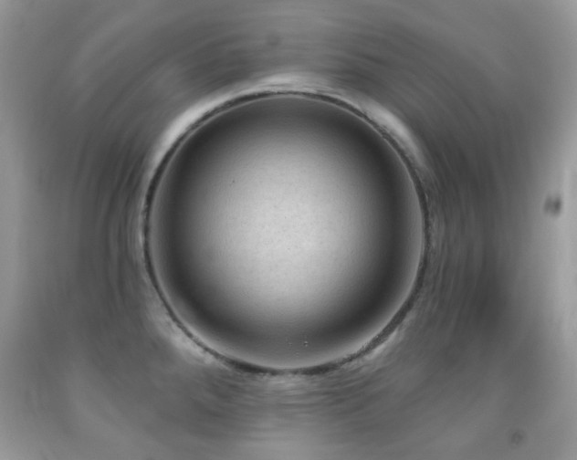 X0000091971288200709061323