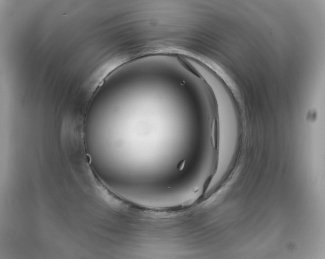 X0000091971289200709061323