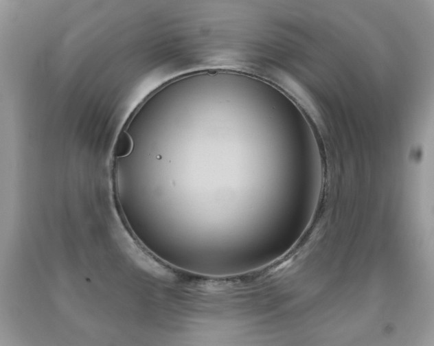 X0000091971291200709061323