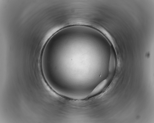 X0000091971293200709061323