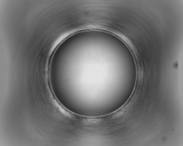 X0000091971294200709061323