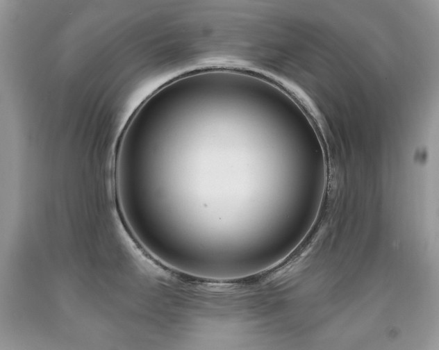 X0000091971295200709061323