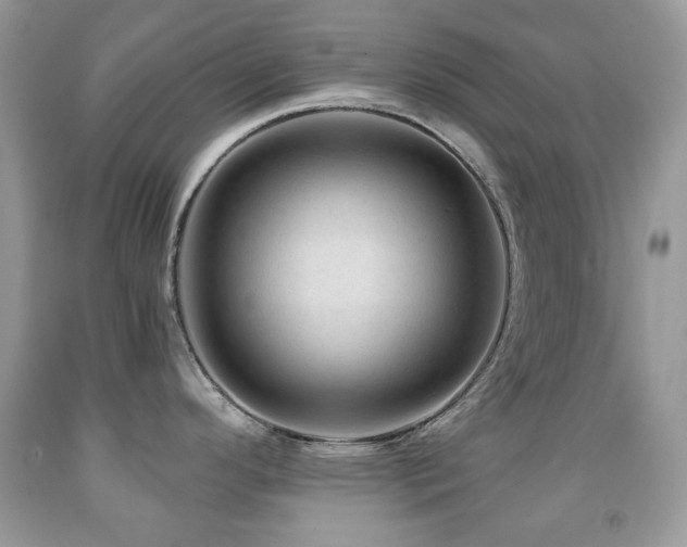 X0000091971296200709061323