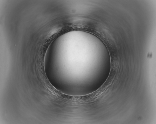 X0000091971297200709061322