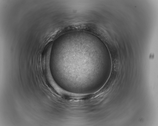X0000091971298200709061322