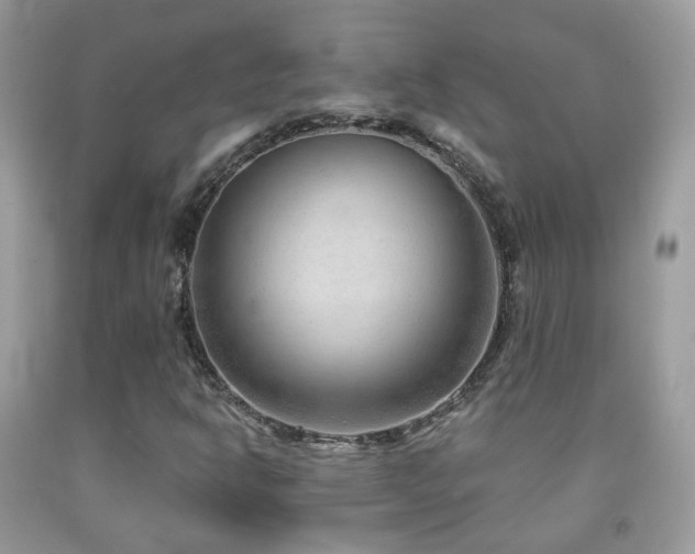 X0000091971302200709061323