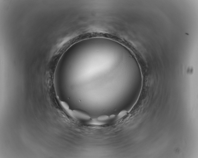 X0000091971303200709061323
