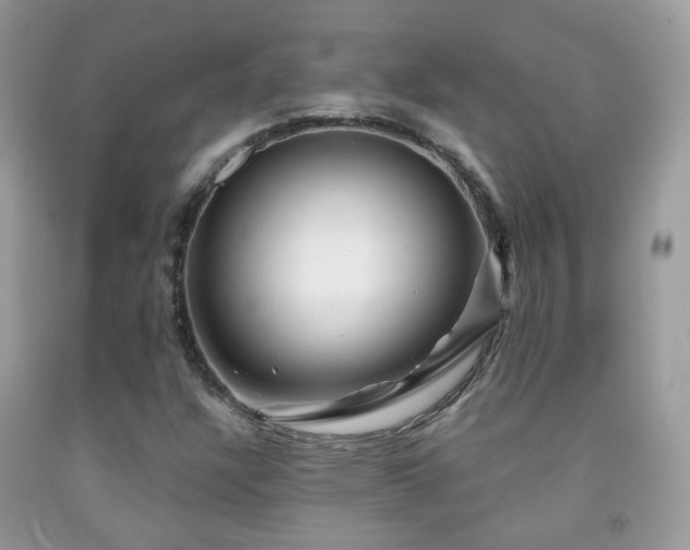 X0000091971304200709061323