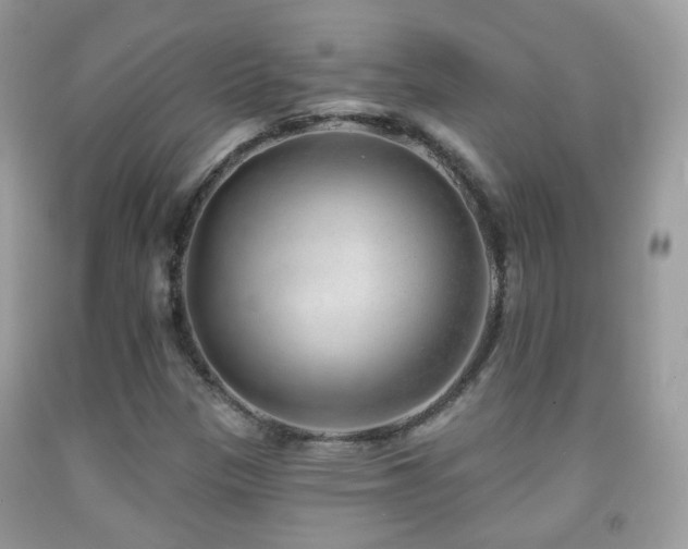 X0000091971305200709061323