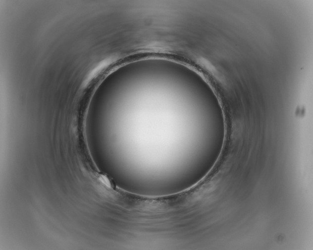X0000091971307200709061323