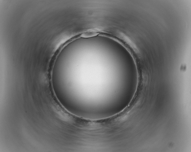 X0000091971308200709061323