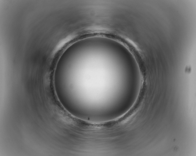 X0000091971309200709061323