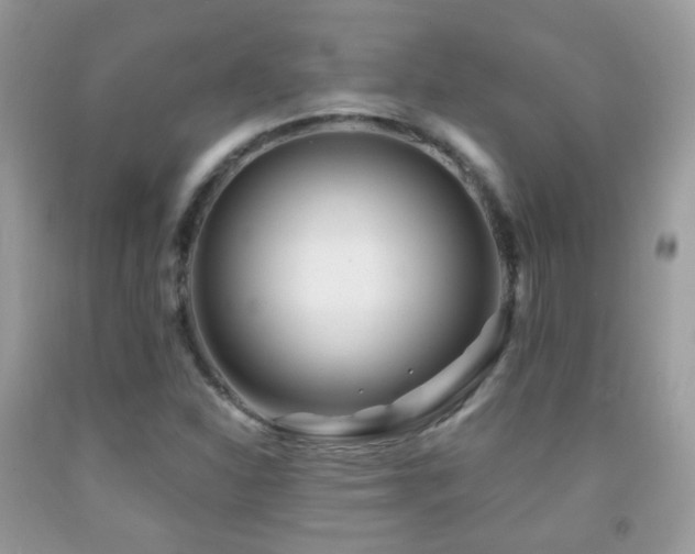 X0000091971310200709061323