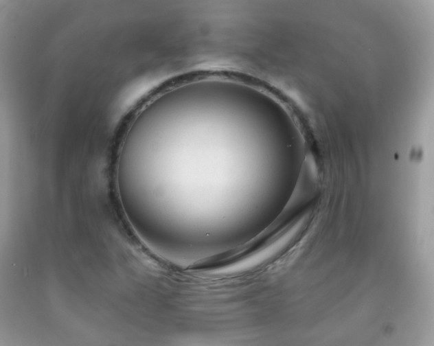 X0000091971311200709061323