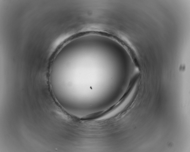 X0000091971312200709061323