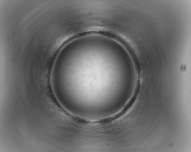 X0000091971313200709061323