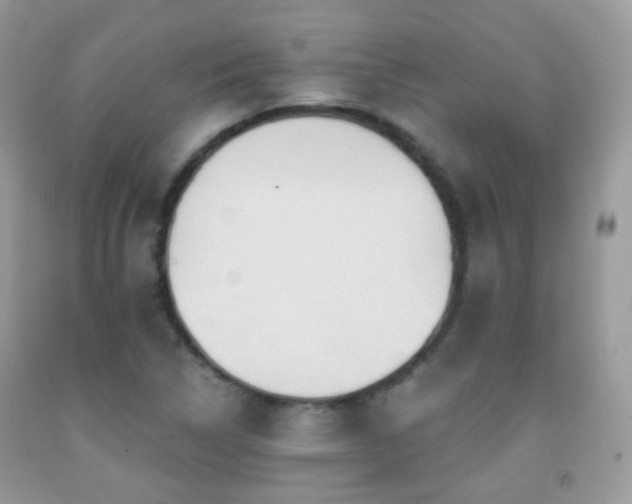X0000091971314200709061323