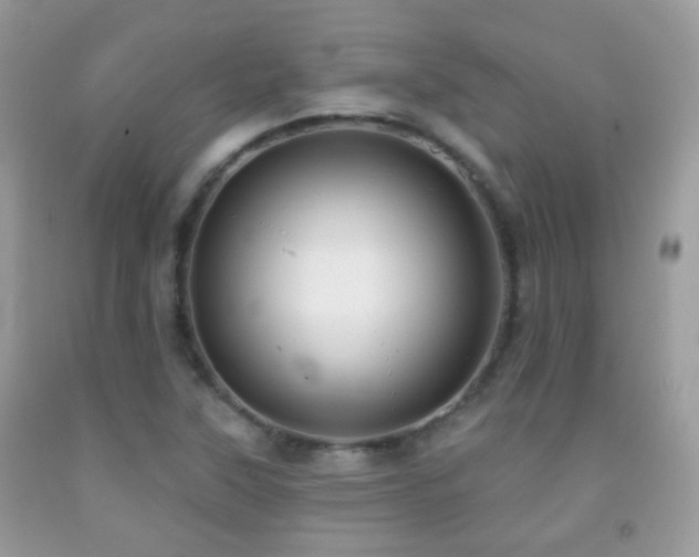 X0000091971315200709061323