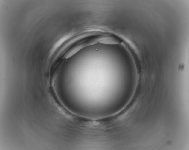 X0000091971317200709061323