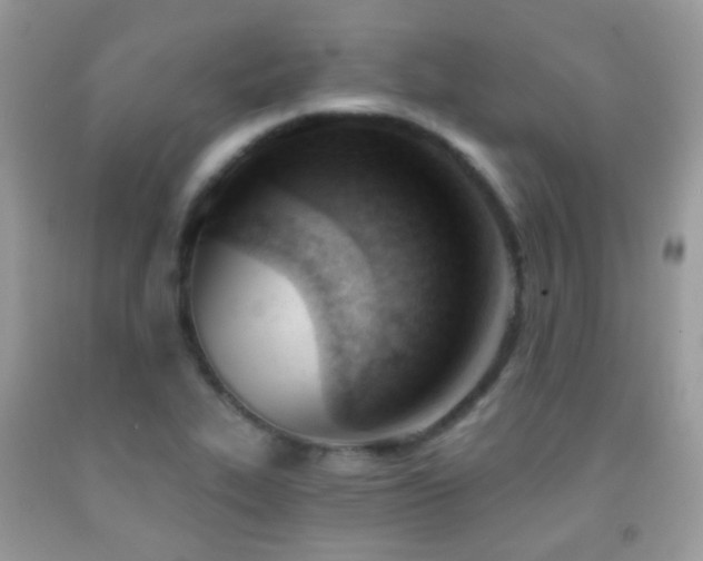 X0000091971319200709061323