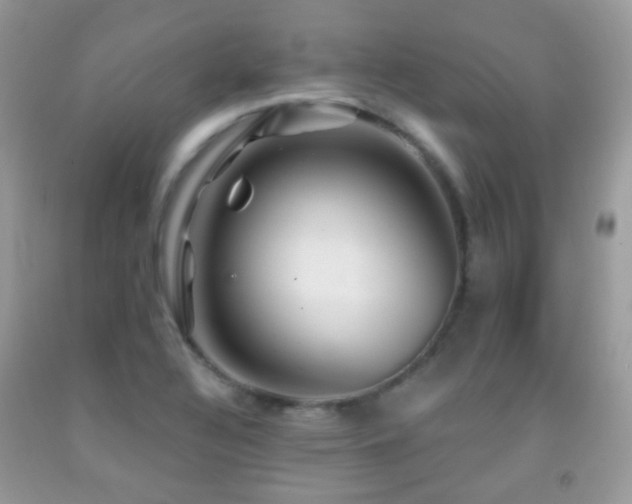 X0000091971320200709061323