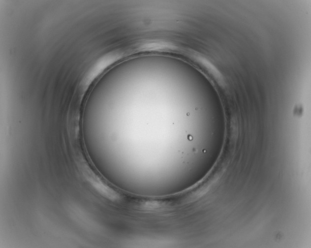 X0000091971322200709061323