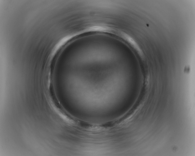 X0000091971323200709061323