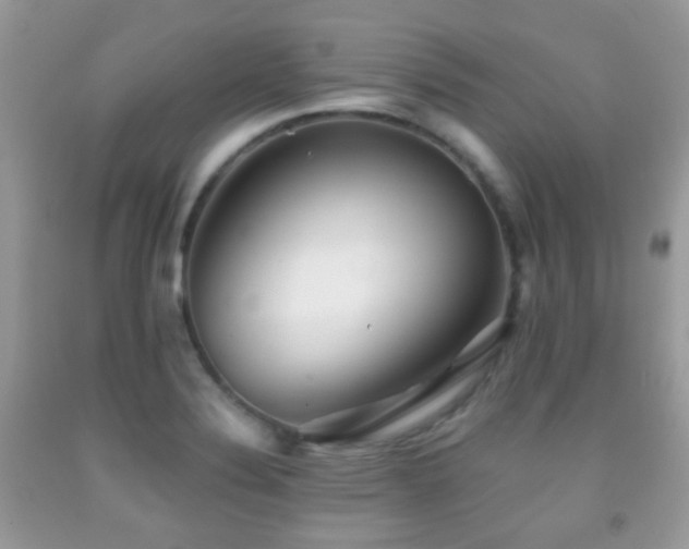 X0000091971324200709061323