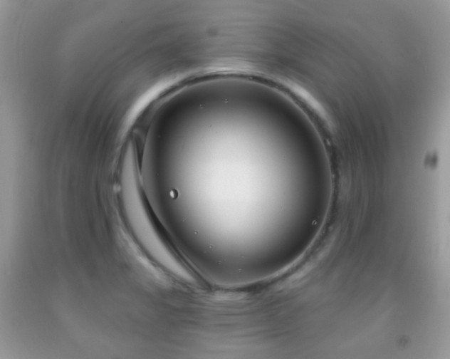 X0000091971325200709061323