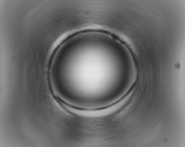 X0000091971326200709061323